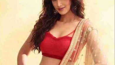 Pallavi Subhash Bra Size