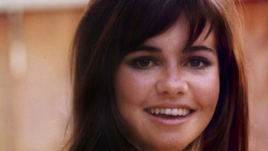 Sally Field Bra Size